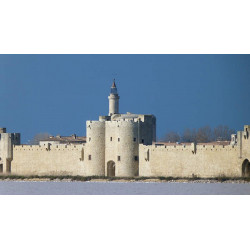 vue Remparts d'Aigues Mortes