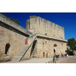 visite Remparts d'Aigues Mortes