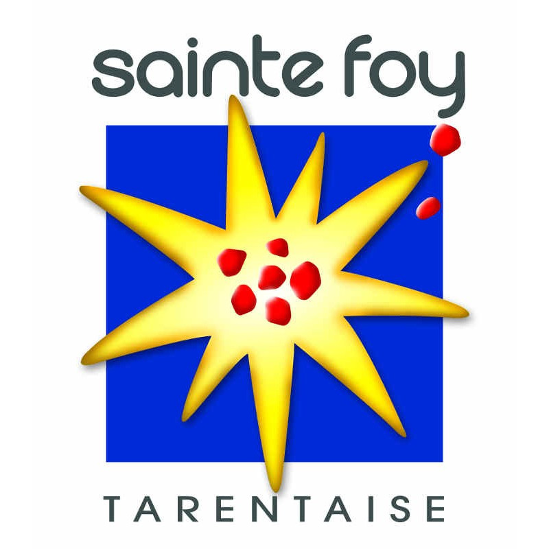 forfait de ski St Foy de Tarentaise  moins cher