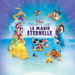 Billet spectacle Disney sur Glace moins cher