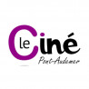  eticket cinéma Noé Jeune(-15ans) valable jusqu'au 08 Février 2025