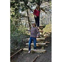 Remise à la forêt d'acrobates